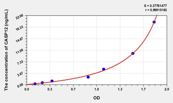 Mouse CASP12 (Caspase 12) ELISA Kit (AEKE10691)