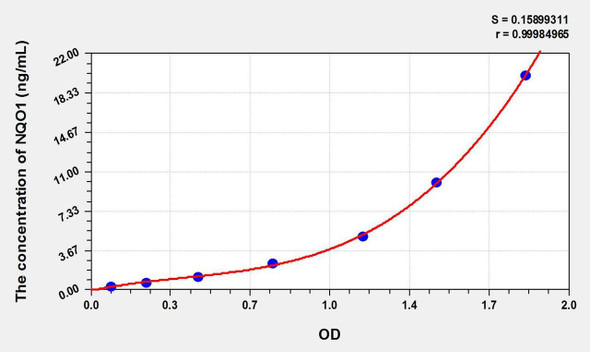 Mouse NQO1 (NADH Dehydrogenase, Quinone 1) ELISA Kit (AEKE10873)