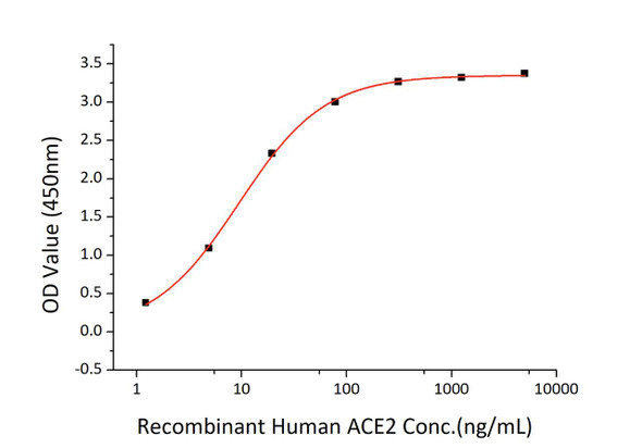 Recombinant SARS-CoV-2 Spike RBD Protein