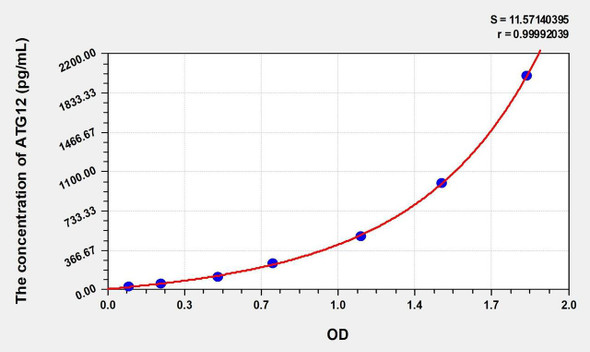 Mouse ATG12 (Autophagy Related Protein 12) ELISA (Small Sample Volume) (AEKE10982)