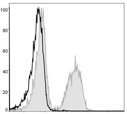 PE Anti-Mouse CD19 Antibody [1D3] (AGEL0004)