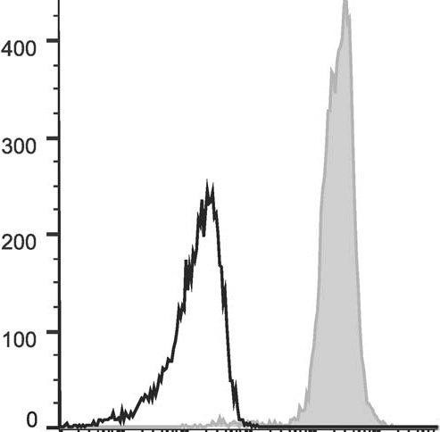 GenieFluor 647 Anti-Mouse CD48 Antibody [HM48-1] (AGEL0115)