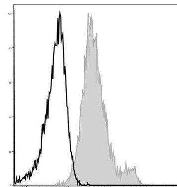GenieFluor 488 Anti-Mouse CD1d Antibody [19G11] (AGEL0150)