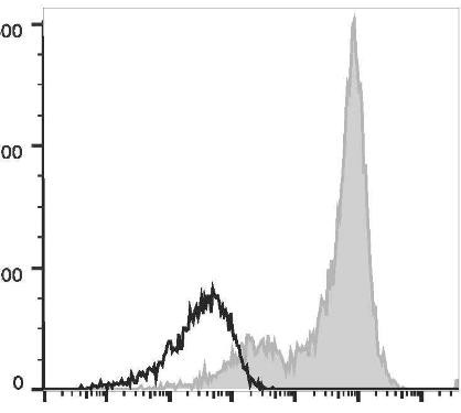 APC Anti-Human CD5 Antibody [UCHT2] (AGEL0190)