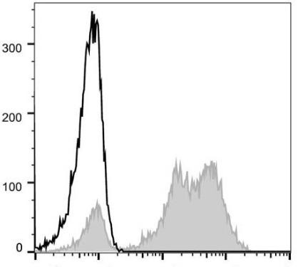 GenieFluor 488 Anti-Human CD5 Antibody [UCHT2] (AGEL0191)