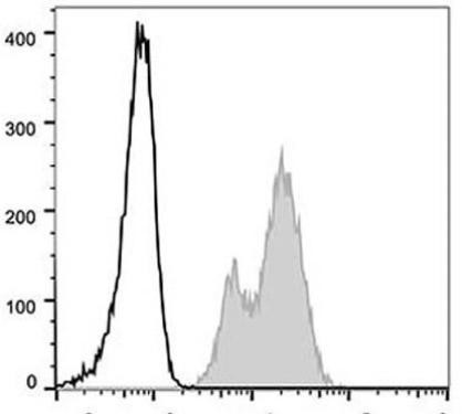 GenieFluor 488 Anti-Human CD29 Antibody [TS2/16.2.1] (AGEL0217)