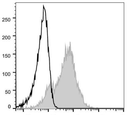 FITC Anti-Human CD38 Antibody [HIT2] (AGEL0247)