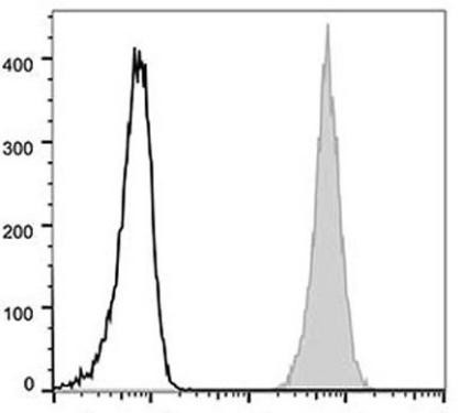 GenieFluor 488 Anti-Human CD47 Antibody [CC2C6D4] (AGEL0254)