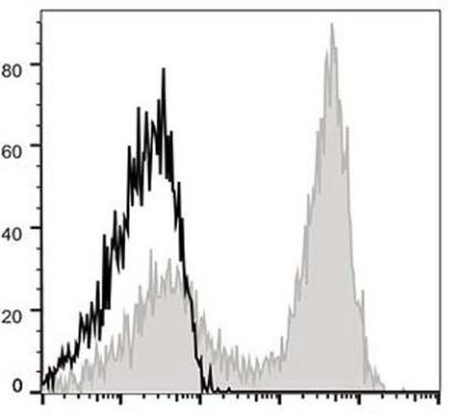 APC Anti-Mouse CD90.2 Antibody [30H12] (AGEL0345)