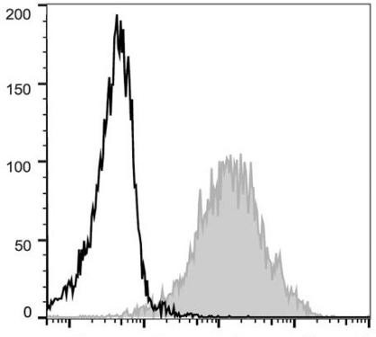PE Anti-Human/Mouse CD44 Antibody [IM7] (AGEL0366)