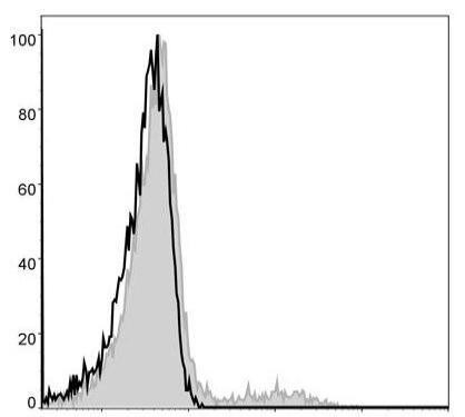 PE Anti-Human HLA-DR Antibody [L243] (AGEL0416)