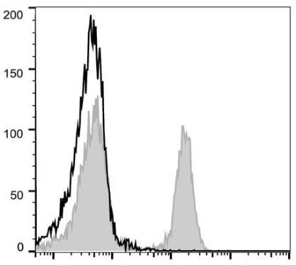 PE Anti-Mouse CD45R/B220 Antibody [RA3.3A 1/6.1] (AGEL0423)