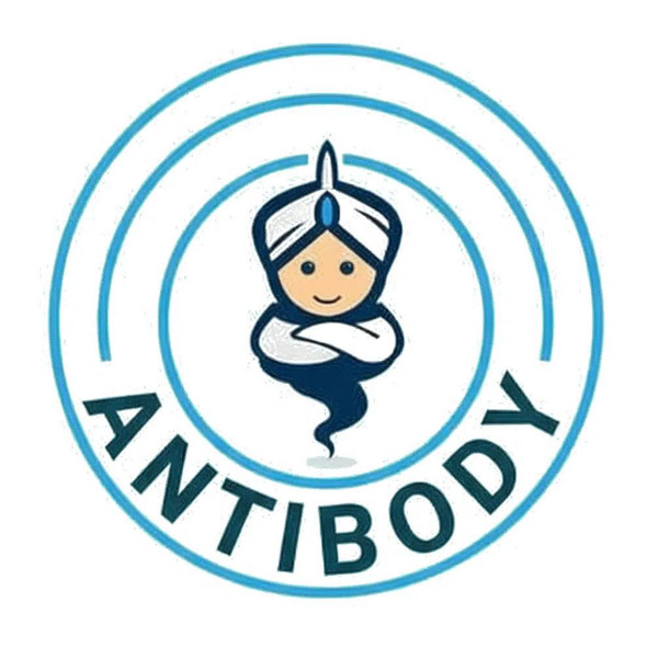 Anti-GIT1 [R09-6D6] Monoclonal Antibody (AGMB03008)