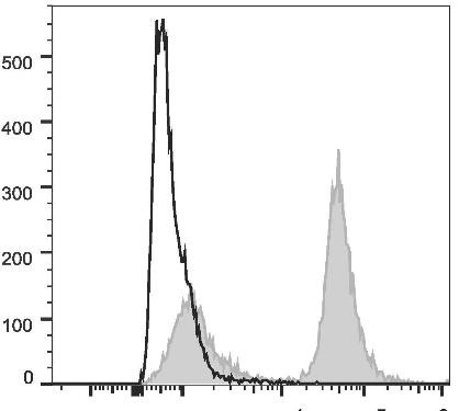 PE/Cyanine5.5 Anti-Mouse CD19 Antibody [1D3] (AGEL0475)