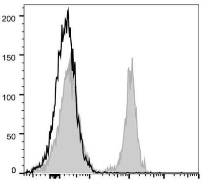 PerCP/Cyanine5.5 Anti-Mouse CD19 Antibody [1D3] (AGEL0476)