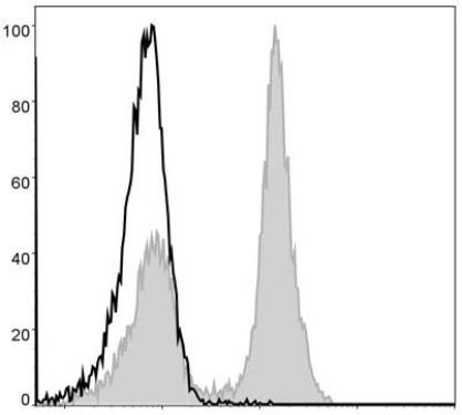 GenieFluor 488 Anti-Mouse CD19 Antibody [1D3] (AGEL0477)