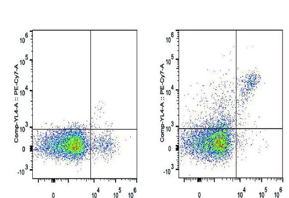 PE/Cyanine7 Anti-Mouse CD161/NK1.1 Antibody [PK136] (AGEL0480)