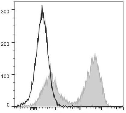 PerCP/Cyanine5.5 Anti-Mouse MHC II (I-A/I-E) Antibody [M5/114] (AGEL0497)