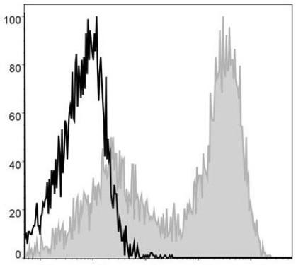 APC Anti-Mouse MHC II (I-A/I-E) Antibody [M5/114] (AGEL0501)