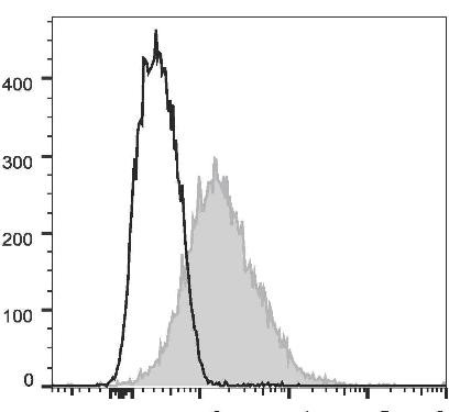 GenieFluor 488 Anti-Mouse CD86 Antibody [GL-1] (AGEL0550)