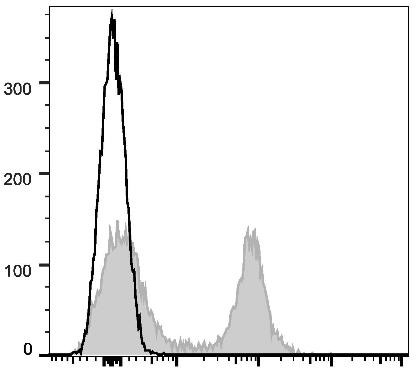 APC Anti-Mouse CD16/32 Antibody [2.4G2] (AGEL0579)