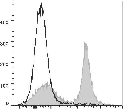PE/Cyanine5.5 Anti-Mouse CD16/32 Antibody [2.4G2] (AGEL0583)