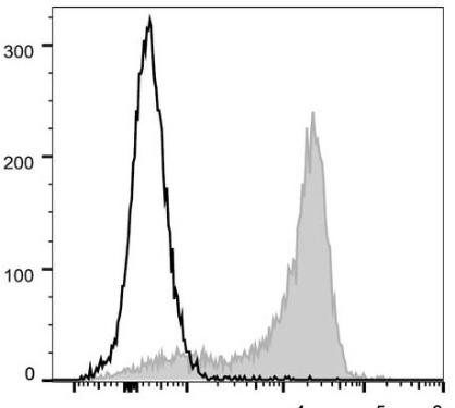PE/Cyanine5 Anti-Mouse CD62L Antibody [Mel14] (AGEL0629)