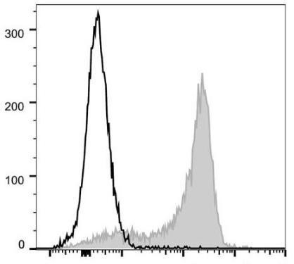 PE/Cyanine5 Anti-Mouse CD62L Antibody [Mel14] (AGEL0638)