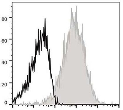 APC Anti-Mouse CD54 Antibody [YN1/1.7.4] (AGEL0712)