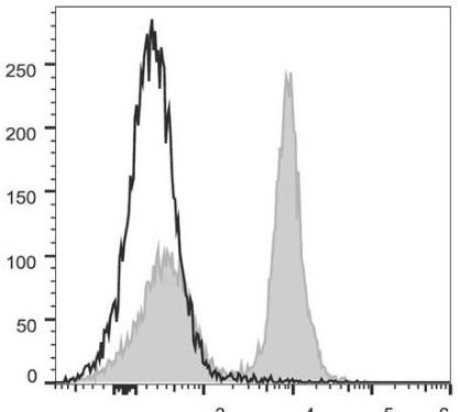 PerCP/Cyanine5.5 Anti-Mouse CD40 Antibody [FGK4.5/FGK45] (AGEL0779)