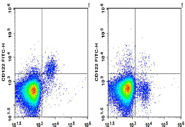 FITC Anti-Mouse CD122 Antibody [5H4] (AGEL0799)