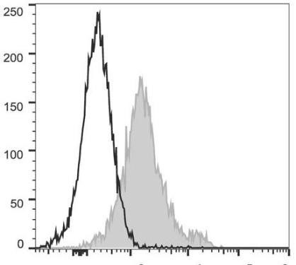 PerCP/Cyanine5.5 Anti-Mouse CD1d Antibody [19G11] (AGEL0814)