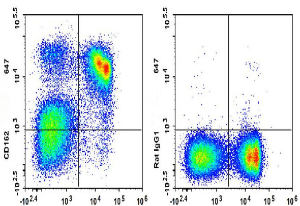 GenieFluor 647 Anti-Mouse CD162 Antibody [4RA10] (AGEL0847)