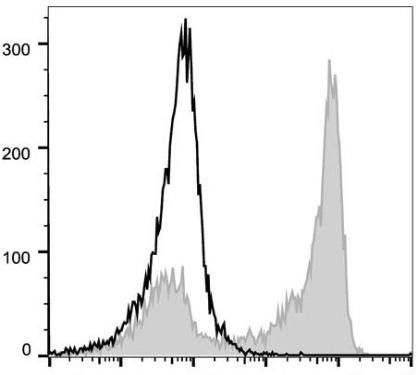 PerCP/Cyanine5.5 Anti-Mouse/Human CD11b Antibody [M1/70] (AGEL1111)
