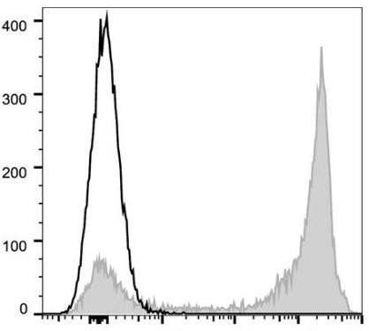GenieFluor 647 Anti-Mouse/Human CD11b Antibody [M1/70] (AGEL1113)