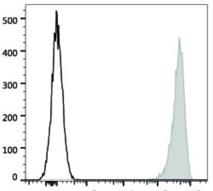 GenieFluor 647 Anti-Human CD41 Antibody [HIP8] (AGEL1138)