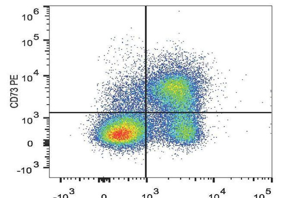 PE Anti-Mouse CD73 Antibody [TY/23] (AGEL1140)