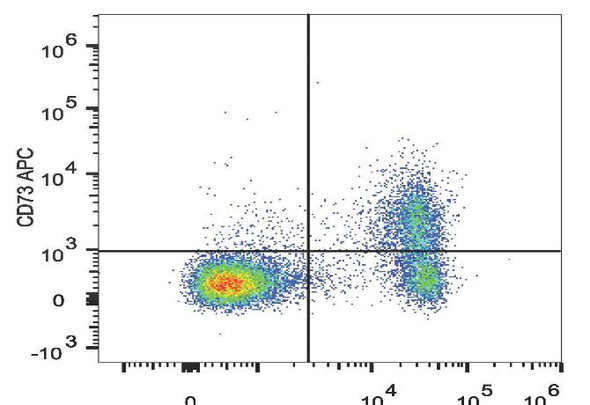 APC Anti-Mouse CD73 Antibody [TY/23] (AGEL1144)