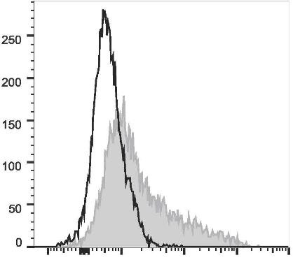 FITC Anti-Mouse CD106 Antibody [M/K-2.7] (AGEL1172)