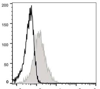 GenieFluor 488 Anti-Mouse CD71 Antibody [R17 217.1.3/TIB-219] (AGEL1203)