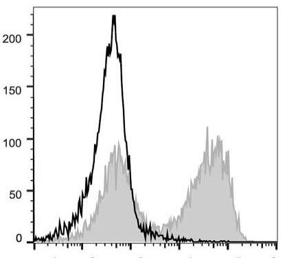 PE/Cyanine5 Anti-Mouse CD90.2 Antibody [30H12] (AGEL1216)