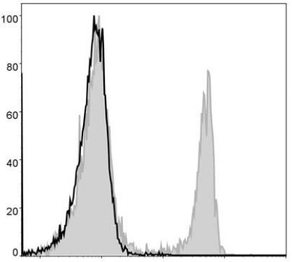 GenieFluor 488 Anti-Mouse CD4 Antibody [GK1.5] (AGEL1253)