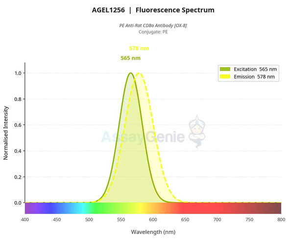 PE Anti-Rat CD8a Antibody [OX-8] (AGEL1256)