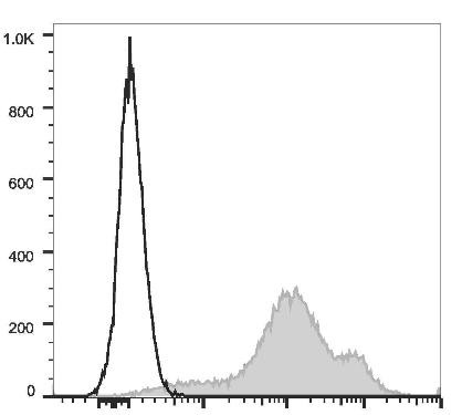 PE/Cyanine7 Anti-Human/Mouse CD44 Antibody [IM7] (AGEL1277)
