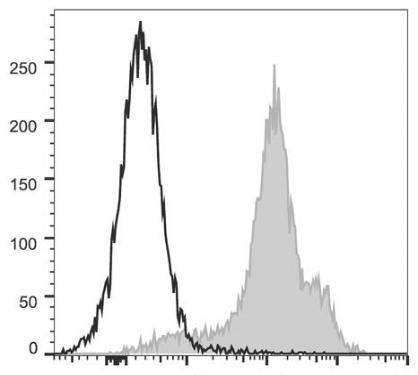 PerCP/Cyanine5.5 Anti-Human/Mouse CD44 Antibody [IM7] (AGEL1287)