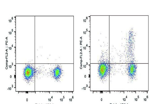 PE Anti-Mouse CD25 Antibody [PC-61.5.3] (AGEL1306)