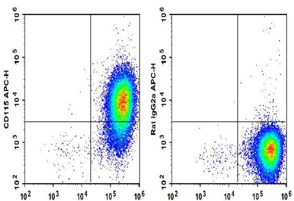 APC Anti-Mouse CD115 Antibody [AFS98] (AGEL1367)