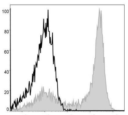 APC Anti-Mouse Ly6G Antibody [1A8] (AGEL1377)