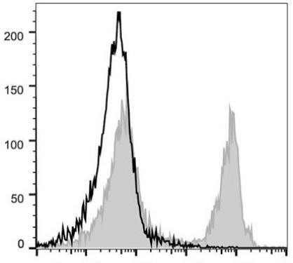 PE/Cyanine5 Anti-Mouse CD45R/B220 Antibody [RA3.3A 1/6.1] (AGEL1412)