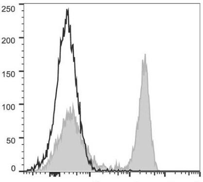 PerCP/Cyanine5.5 Anti-Mouse CD45R/B220 Antibody [RA3.3A 1/6.1] (AGEL1415)